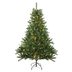 Northlight 6' Pre-Lit Medium Canadian Pine Artificial Christmas Tree - Candlelight LED Lights Green