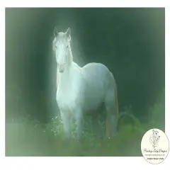 Wild One - Paper for Decoupage Crafting and Multi Media Art (Medium 18x24)Horse