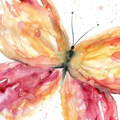 Butterfly Fling I Poster Print by Carol Robinson - Item # VARPDX41298