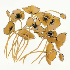 Gold Black Line Poppies II Poster Print by Shirley Novak - Item # VARPDX31255
