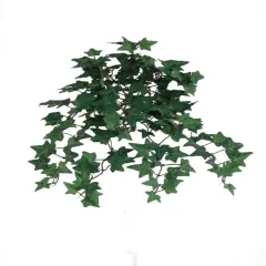 Lush 13" Mini English Ivy Bush Green White - 176 Leaves for Lifelike Greenery in Home Decor, Events & Landscaping