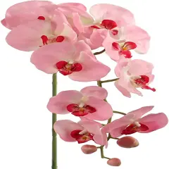 33.5" Pink Phalaenopsis Orchid Stems (12-Pack) - Real Touch Faux Flowers with 9 Blooms & 2 Buds, Perfect for Bouquets, Events & Home Decor - Elegant Year-Round Accent - Floral Home by Artificial Flowers