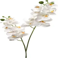 24-Pack: White Phalaenopsis Orchid Spray with 16 Silk Flowers, Floral Home by Artificial Flowers