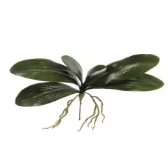 12-Pack: 16" Phalaenopsis Orchid Foliage Cluster Pick , Floral Home by Artificial Flowers