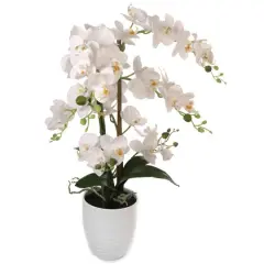 22-Inch Phalaenopsis Orchid Arrangement in Elegant Floral D&eacute;cor for Home and Office, Floral Home by Artificial Flowers