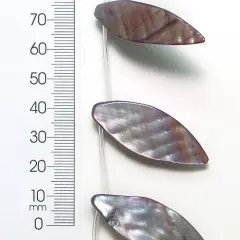 6 Packs of Tinted Shell Leaf Gray 2x8" Strand