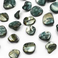 6 Packs of Tinted Shell Chunk Slate 2/8" Strand