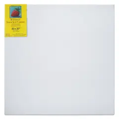 Strathmore 300 Series Stretched Cotton Canvas - 3/4" Profile, 20" x 20"