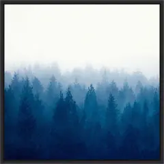 Heart and Soul - Foggy Forest by Dirk Wustenhagen Framed Canvas Wall Art