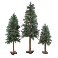 Northlight Set of 3 Pre-Lit Slim Woodland Alpine Artificial Christmas Trees 5' - Multicolor Lights Green