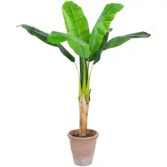 Northlight 4' Artificial Tropical Banana Tree in a Clay Pot Green