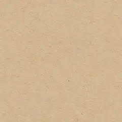 My Colors Classic 80lb Cover Weight Cardstock 8.5"X11"-Kraft