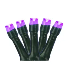 Northlight LED Wide Angle Christmas Lights - Purple - 9.5' Black Wire - 20ct