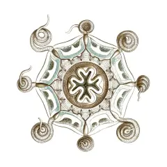 Refresh Bath Border II Poster Print by Danhui Nai - Item # VARPDX12130