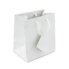Gift Bag Small Glossy White (Package of 20)