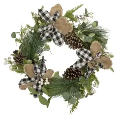 Northlight Magnolia and Frosted Pine Cones Artificial Christmas Wreath -22-Inch, Unlit Green