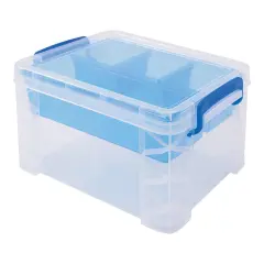 Divided Storage Box with Insert