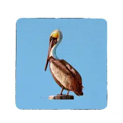 Betsy Drake Pelican Neoprene Coasters Set of 4