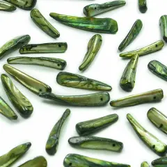 6 Packs of Tinted Shell Spike Olive 2/8" Strand