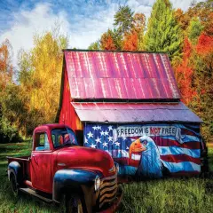 Sunsout Freedom Isn't Free 550 pc Fourth of July Jigsaw Puzzle 30125
