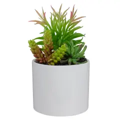 Northlight 9" Artificial Succulent Arrangement in White Ceramic Pot