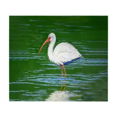 Betsy Drake White Ibis 30 X 50 Inch Comfort Floor Mat