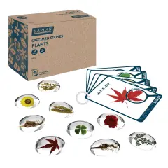 Kaplan Early Learning Company Specimen Stones: Plants - 9 Pieces