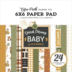 Echo Park Double-Sided Paper Pad 6"X6" 24/Pkg-Special Delivery Baby