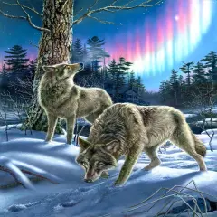 Sunsout Wolves and Lights 1000 pc Jigsaw Puzzle 28397