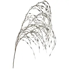 Northlight Weeping Willow Artificial Christmas Spray - 47" - Silver