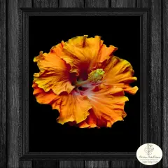 Night Flower Orange Flame - Art paper for Decoupage and Mixed MediaLarge 24x36
