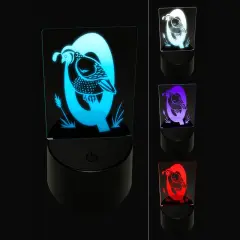 Animal Alphabet Letter Q for Quail 3D Illusion LED Night Light Sign Nightstand Desk Lamp