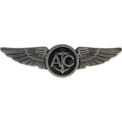 WING- USN, AIRCREW, PWT (2-3/4")