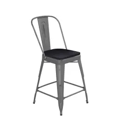 Emma and Oliver Grant Clear Coated Metal Stool with Backrest and Polyresin Seat for Indoor Use Only Clear Coated/Black