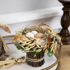 Northlight Bird's Nest with Eggs Easter Bundle Decoration - 6.5" Brown