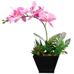 Northlight Artificial Orchid with Succulent Plants - 13" - Light Pink