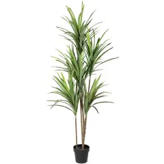 Northlight Real Touch&trade; Artificial Dracaena Marginata Plant in Black Pot - 5.5' Green