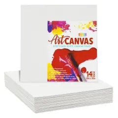 14 Pack Art Canvases for Painting
