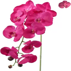 Artificial Orchids Real Touch Phalaenopsis Flowers - Lifelike and Elegant Decoration
