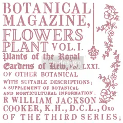 Redesign Decor Stamp-Botanical Encyclopedia 12"x12" (12 pcs)