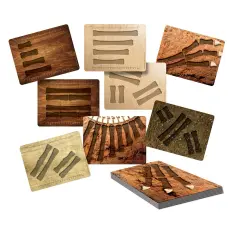 Yellow Door Dinosaur Bones Match & Measuring Cards - Set of 16