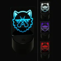 Grumpy Persian Cat Face 3D Illusion LED Night Light Sign Nightstand Desk Lamp
