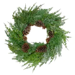 Northlight Real Touch&trade;️ Frosted Cedar and Pinecone Artificial Christmas Wreath - 26" - Unlit Green