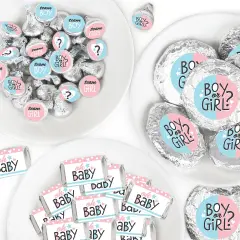 Big Dot of Happiness Baby Gender Reveal - Team Boy or Girl Party Candy Favor Sticker Kit - 304 Pieces