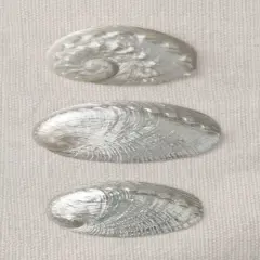 Opalescent II Poster Print by Assaf Frank - Item # VARPDX16351