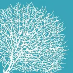 Green Apple Poster Print by Nelly Arenas - Item # VARPDX5948