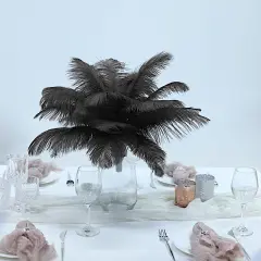 12 pcs 13"-15" long Genuine Ostrich Feathers Black