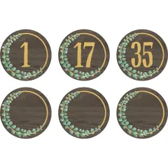 Eucalyptus Numbers Magnetic Accents, 2-1/4", 42 Per Pack, 3 Packs