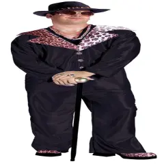 Big Daddy Costume Plus Adult