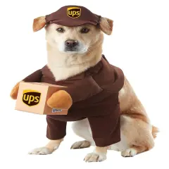 Pet Ups Pal Costume